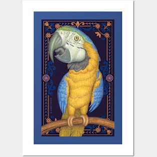 Cute African Blue & Gold Macaw with tapestry background Posters and Art